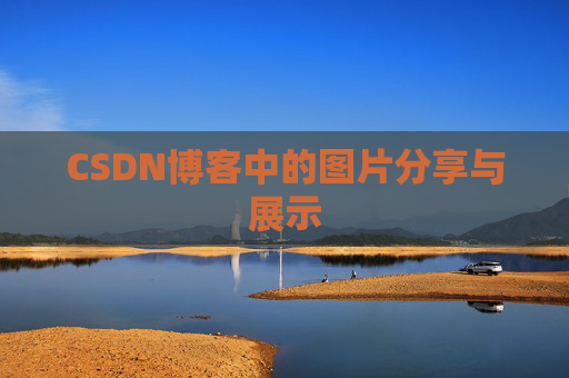 CSDN博客中的图片分享与展示